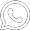 WhatsApp Icon